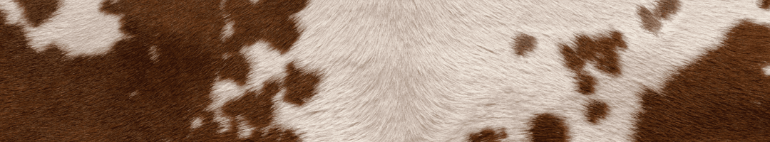 Zonder titel (1080 x 200 px)-3