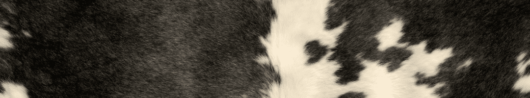 Zonder titel (1080 x 200 px)-4